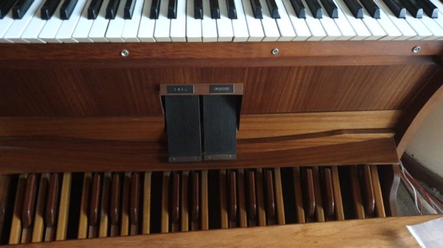 photo5.jpg